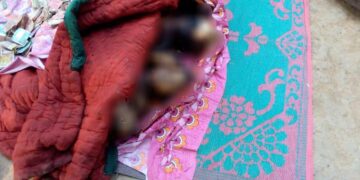 মর্মান্তিক মৃত্যু দুই শিশুর