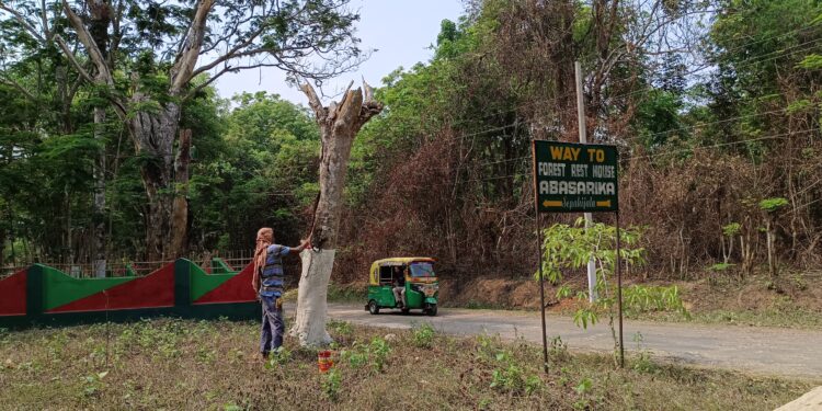 শাক্ দিয়ে মাছ ঢাকার অপচেষ্টা প্রকাশ্যে।