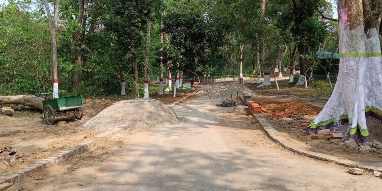 শাক্ দিয়ে মাছ ঢাকার অপচেষ্টা প্রকাশ্যে।