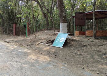 শাক্ দিয়ে মাছ ঢাকার অপচেষ্টা প্রকাশ্যে।