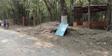 শাক্ দিয়ে মাছ ঢাকার অপচেষ্টা প্রকাশ্যে।