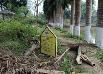 অবহেলার শিকার কমলাসাগর মাতাবাড়ি।