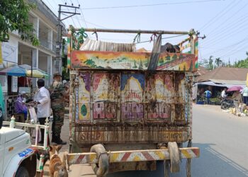 অবৈধ গাড়ি ভর্তি গরু আটক বিশালগড়ে