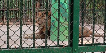 দু’দিন ধরে অভুক্ত সিপাহীজলা চিড়িয়াখানার জীবজন্তুুরা