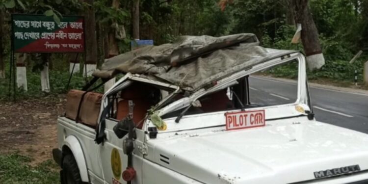 দুর্ঘটনার কবলে এসকর্টের পাইলট কার