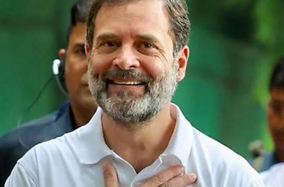 সাংসদ পদ ফিরে পেলেন রাহুল