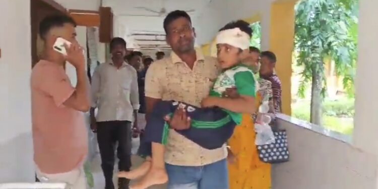 অটোর ধাক্কায় গুরতর আহত প্রথম শ্রেণীর এক ছাত্র