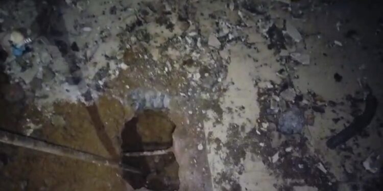 কাস্টমস এর হাতে নিগৃহীত সাংবাদিক