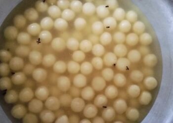 বিশালগড়ে খাবারের দোকানে অভিযান স্বাস্থ্য দপ্তরের আধিকারিকদের