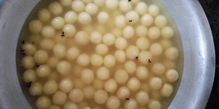 বিশালগড়ে খাবারের দোকানে অভিযান স্বাস্থ্য দপ্তরের আধিকারিকদের