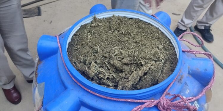 দক্ষিণ মধুপুরে ৪০ কেজি শুঁকনো গাজা উদ্ধার