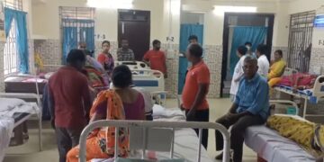 মৌমাছির আক্রমণে গুরুতর আহত সাত