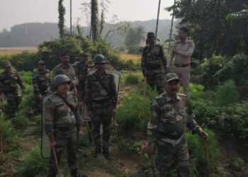 মধুপুর থানার গাঁজা বিরোধী অভিযান অব্যাহত