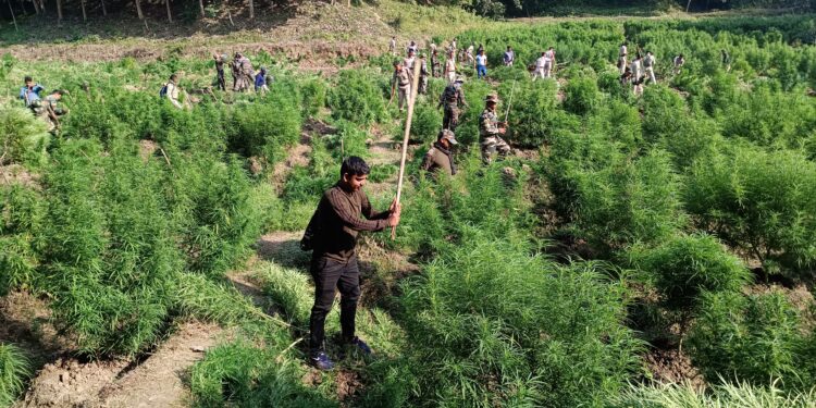 বক্সনগরে বিশালগড় থানার সার্জিক্যাল স্ট্রাইক