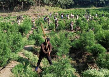 বক্সনগরে বিশালগড় থানার সার্জিক্যাল স্ট্রাইক