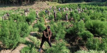 বক্সনগরে বিশালগড় থানার সার্জিক্যাল স্ট্রাইক