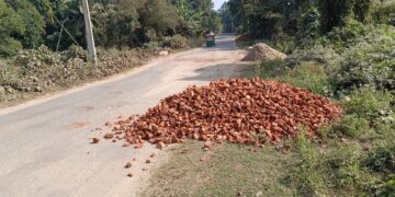 খুব শীঘ্রই কমলাসাগরবাসীর স্বপ্নপূরণ হতে চলেছে