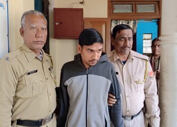 পাঁচ বছরের শিশু ধর্ষণকান্ডে অভিযুক্ত অটো চালককের ১০ বছরের জেল