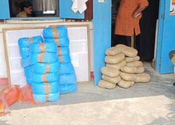 মধুপুর থানার সামনে দিয়ে পাচার হওয়া গাঁজা ধরা পড়ল বিএসএফের হাতে