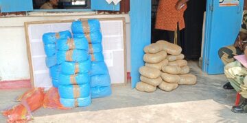 মধুপুর থানার সামনে দিয়ে পাচার হওয়া গাঁজা ধরা পড়ল বিএসএফের হাতে