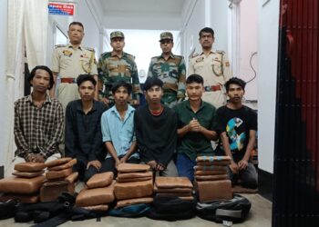 ৪৮ কেজি শুঁকনো গাঁজা সহ পুলিশের হাতে আটক ছয়জন নেশা কারবারি