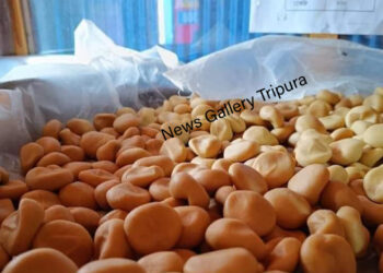 GI Tag এ ভূষিত রাজ্যের পেড়া ও পাছরা