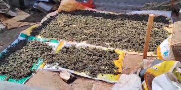 ১৫ কেজি শুঁকনো গাঁজা সহ পুলিশের হাতে আটক দুই ভাই