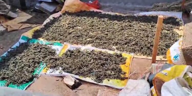 ১৫ কেজি শুঁকনো গাঁজা সহ পুলিশের হাতে আটক দুই ভাই