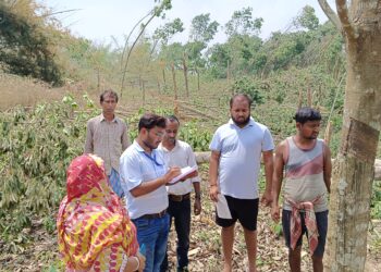 ঘূর্ণিঝড়ে ক্ষতিগ্রস্ত রাবার বাগানগুলি পরিদর্শনে এল রাবার বোর্ডের আধিকারিক