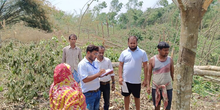 ঘূর্ণিঝড়ে ক্ষতিগ্রস্ত রাবার বাগানগুলি পরিদর্শনে এল রাবার বোর্ডের আধিকারিক
