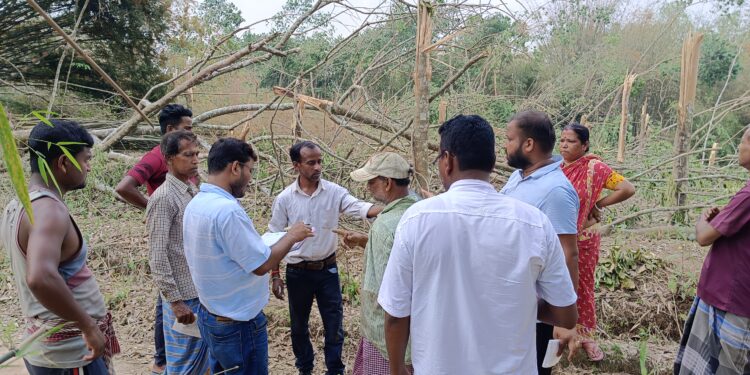 ঘূর্ণিঝড়ে ক্ষতিগ্রস্ত রাবার বাগানগুলি পরিদর্শনে এল রাবার বোর্ডের আধিকারিক