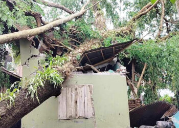 রবিবার কালবৈশাখীর তাণ্ডবে বাংলাদেশের চার জেলায় এখন পর্যন্ত মৃত ৭