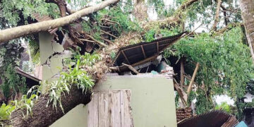 রবিবার কালবৈশাখীর তাণ্ডবে বাংলাদেশের চার জেলায় এখন পর্যন্ত মৃত ৭