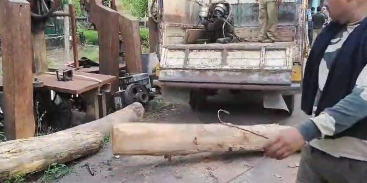 কাঠের চেরাই মিল সহ প্রচুর পরিমাণে অবৈধ কাঠ উদ্ধার