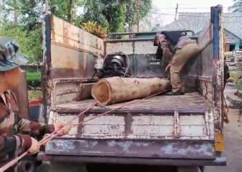 কাঠের চেরাই মিল সহ প্রচুর পরিমাণে অবৈধ কাঠ উদ্ধার