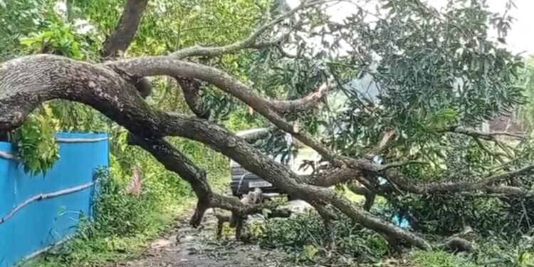 কালবৈশাখীর তাণ্ডবে ধুলিস্যাৎ বিশ্রামগঞ্জের বিস্তীর্ণ এলাকা
