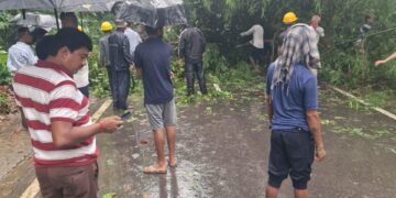 সিপাহীজলায় গাছ পড়ে দীর্ঘক্ষণ যান চলাচল বন্ধ ছিল জাতীয় সড়কে
