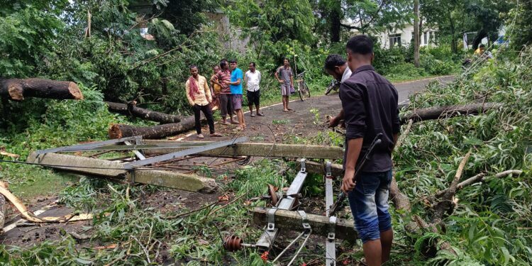 রামেল’ ঘূর্ণিঝড়ের প্রভাবে তছনছ বিশালগড় মহকুমার বিভিন্ন এলাকা