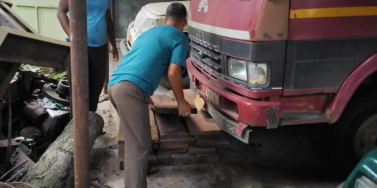 গভীর রাতে অবৈধ চেরাই কাঠ উদ্ধার করল বনকর্মীরা