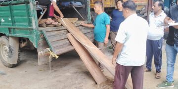 গভীর রাতে অবৈধ চেরাই কাঠ উদ্ধার করল বনকর্মীরা