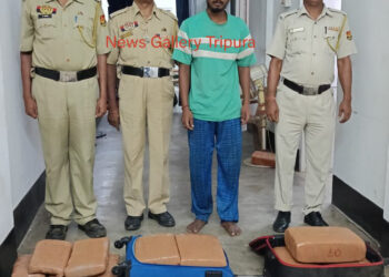 ৪১ কেজি শুঁকনো গাঁজা সহ পুলিশের হাতে আটক এক