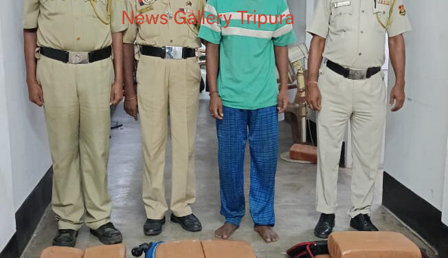 ৪১ কেজি শুঁকনো গাঁজা সহ পুলিশের হাতে আটক এক