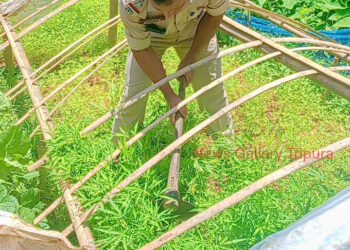 কলম চওড়া থানার উদ্যোগে গাঁজা বিরোধী অভিযান