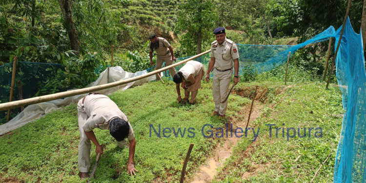 মধুপুর থানার গাঁজা বিরোধী অভিযান!