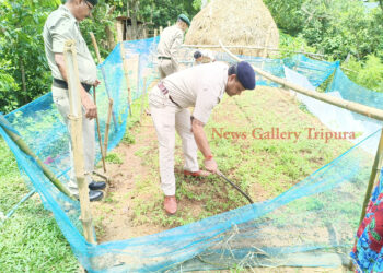 মধুপুর থানার গাঁজা বিরোধী অভিযান!