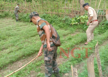 কলমচৌওড়া থানার উদ্যোগে অনুষ্ঠিত হয়েছে গাঁজা বিরোধী অভিযান