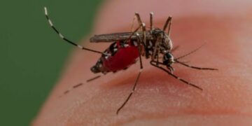 ১৬ জন রোগীর শরীরে ডেঙ্গুর জীবাণু বিশ্রামগঞ্জে