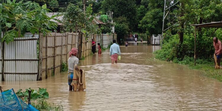বিশালগরে বন্যা পরিস্থিতি ভয়াবহ!