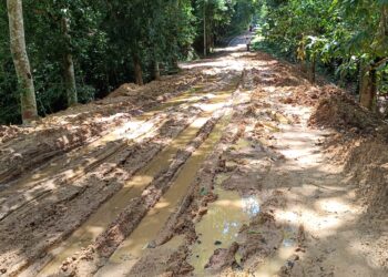 সিপাহীজলা অভয়ারণ্যে যাতায়াতের মূল সড়কপথটি বেহাল দশায় পরিণত