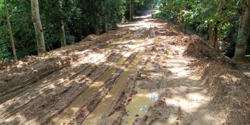 সিপাহীজলা অভয়ারণ্যে যাতায়াতের মূল সড়কপথটি বেহাল দশায় পরিণত